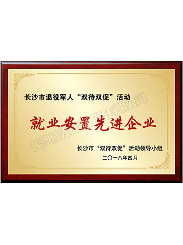 長沙市退役軍人“雙待雙促”活動(dòng)就業(yè)安置先進(jìn)企業(yè)
